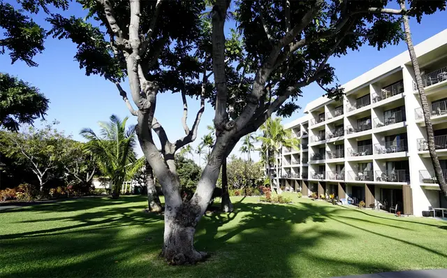 Listing Image for 2531 S Kihei Rd D409 27 of 33