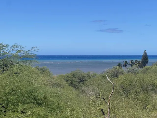 Listing Image for 1715 Kamehameha V Hwy 1 of 22