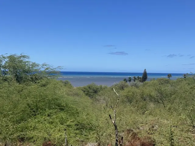 Listing Image for 1715 Kamehameha V Hwy 10 of 22