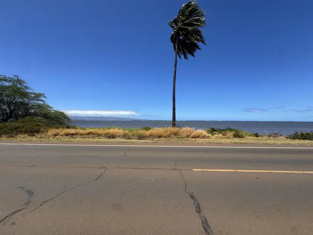 Listing Image for 1715 Kamehameha V Hwy 18 of 22