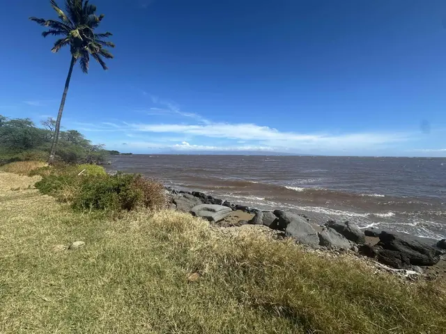 Listing Image for 1715 Kamehameha V Hwy 20 of 22