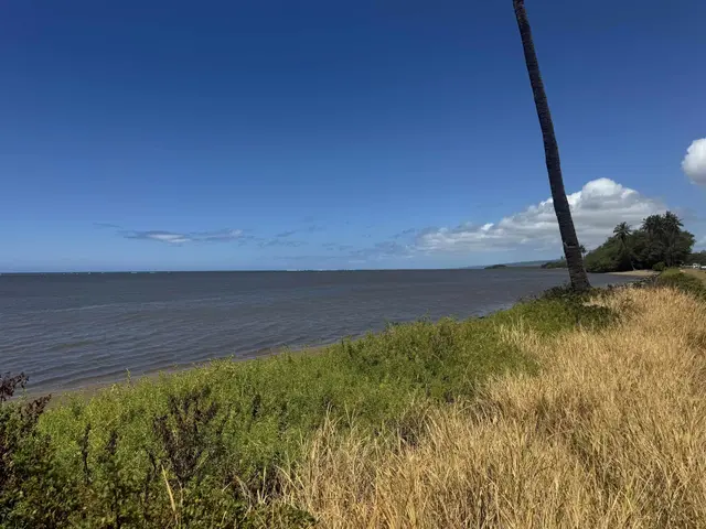 Listing Image for 1715 Kamehameha V Hwy 21 of 22