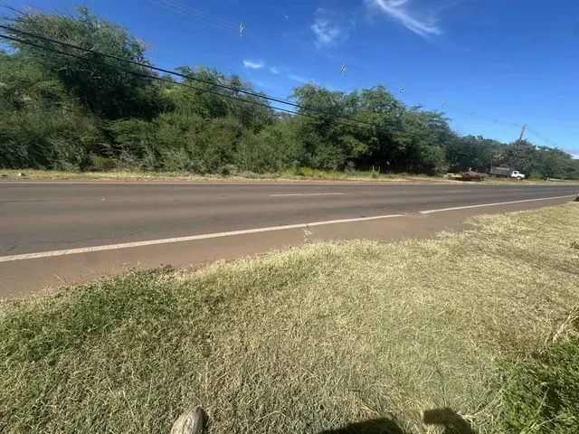 Listing Image for 1715 Kamehameha V Hwy 22 of 22
