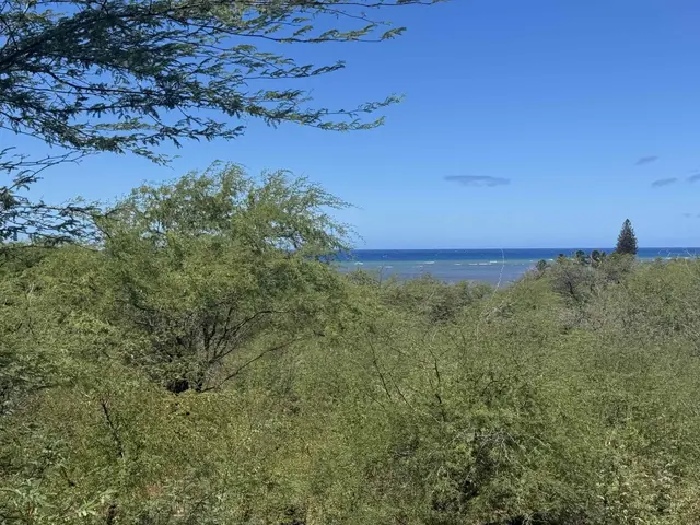 Listing Image for 1715 Kamehameha V Hwy 4 of 22