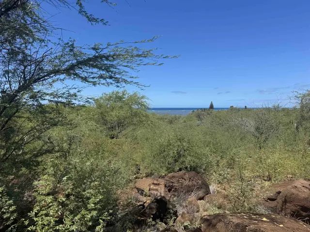 Listing Image for 1715 Kamehameha V Hwy 5 of 22
