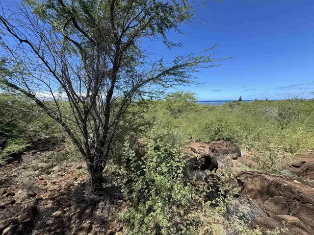 Listing Image for 1715 Kamehameha V Hwy 6 of 22