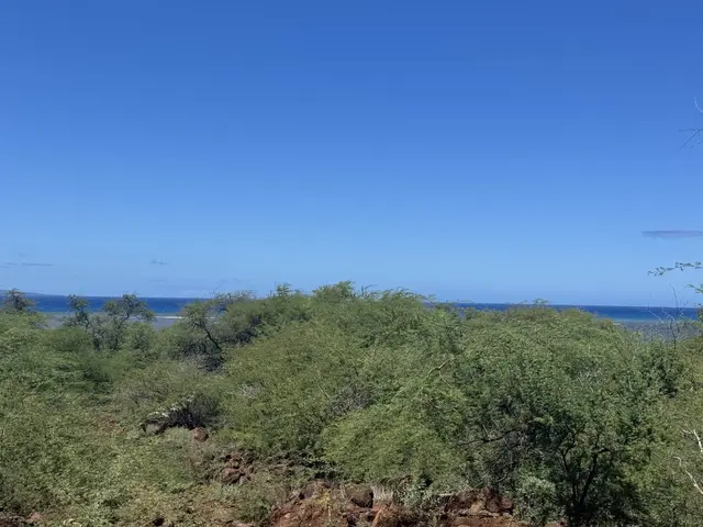 Listing Image for 1715 Kamehameha V Hwy 9 of 22