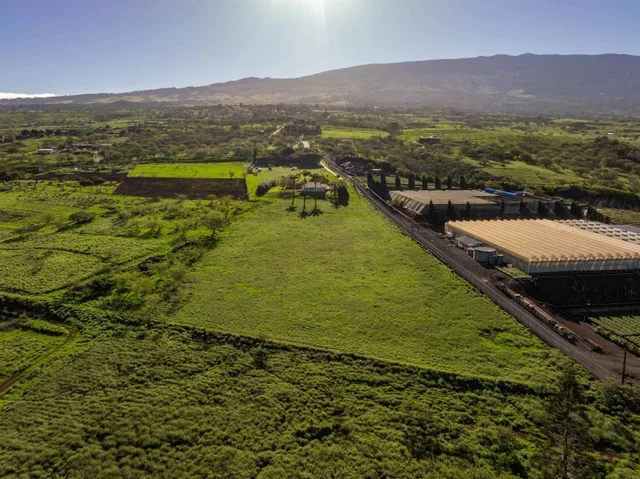 Listing Image for 2345 Omaopio Rd 23 of 23