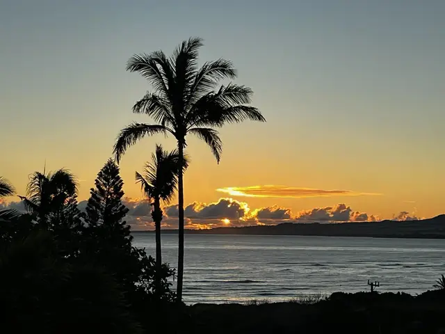 Listing Image for 755 Analio St 50 of 50