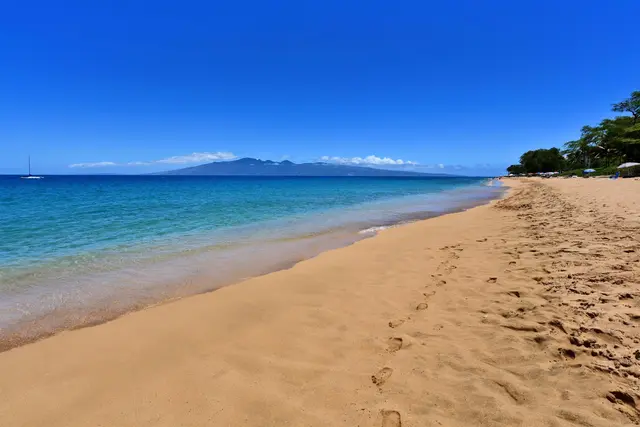 Listing Image for 45 Kai Ala Dr A108 46 of 50