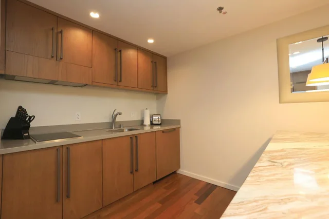 Listing Image for 1 Ritz Carlton Dr 1502 15 of 49