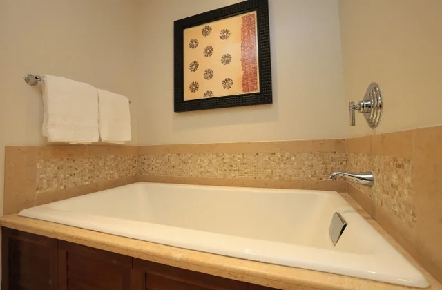 Listing Image for 1 Ritz Carlton Dr 1502 24 of 49