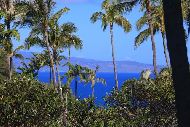 Listing Image for 1 Ritz Carlton Dr 1502 27 of 49