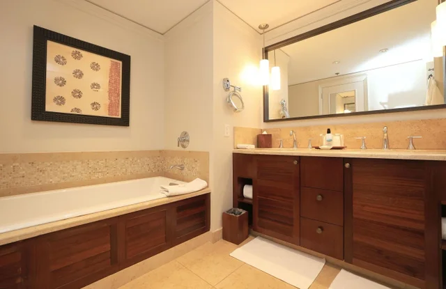 Listing Image for 1 Ritz Carlton Dr 1502 5 of 49