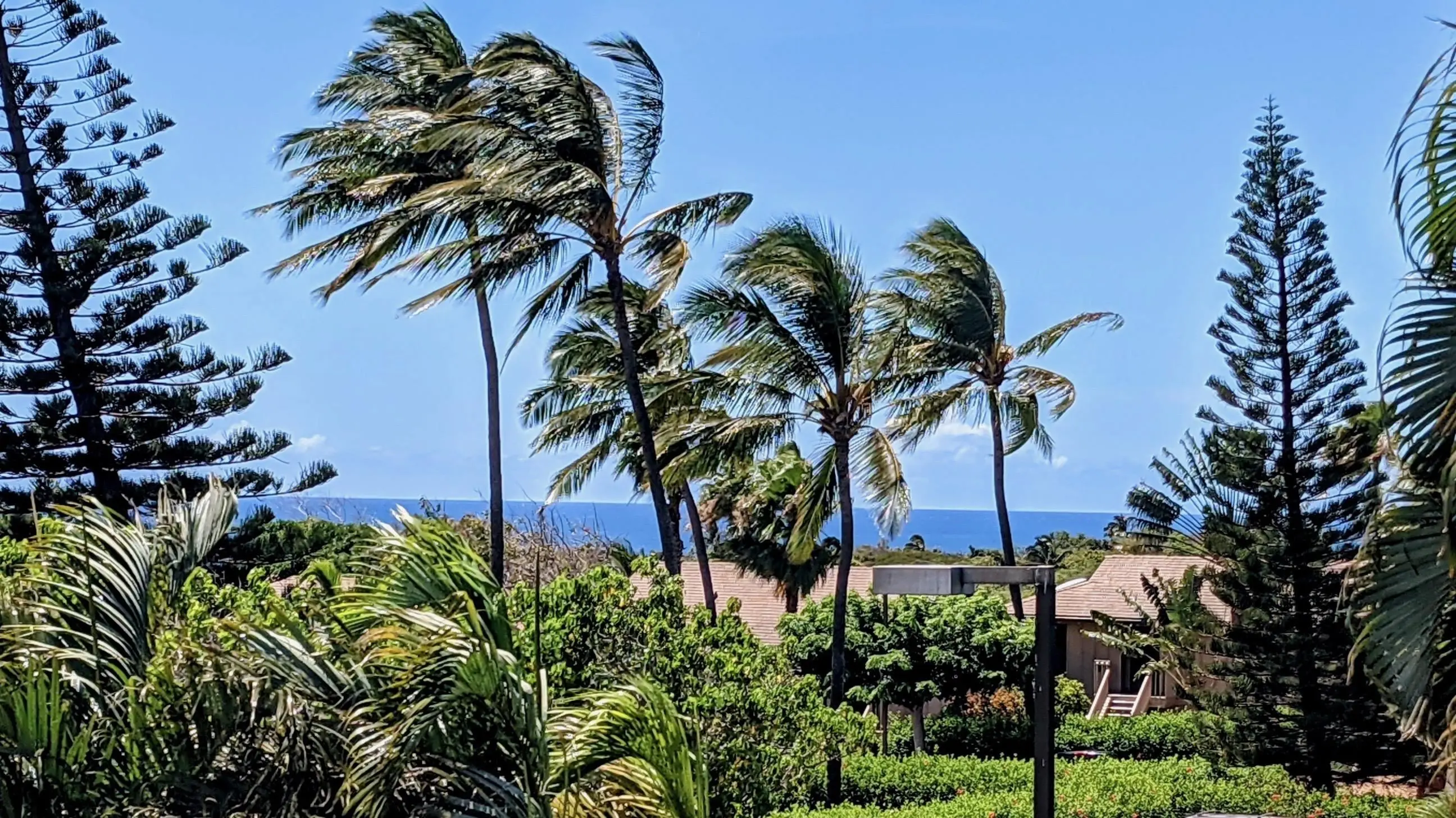 Photo of Listing #409130