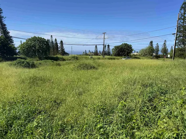 Listing Image for Puunana St 723 6 of 8