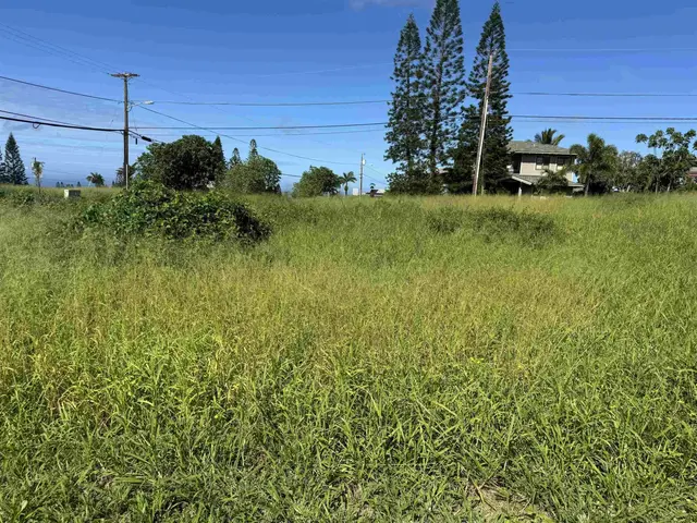 Listing Image for Puunana St 723 7 of 8