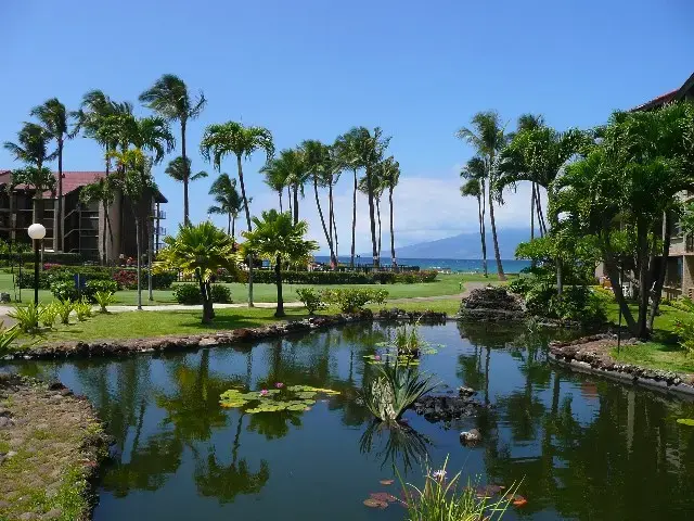 Listing Image for 3543 Lower Honoapiilani Rd F206 20ab 15 of 21