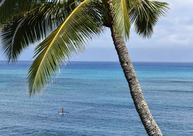 Listing Image for 5163 Lower Honoapiilani Rd 40 of 50