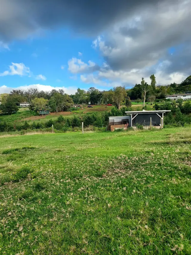 Listing Image for 1180 Olinda Rd 1 of 37