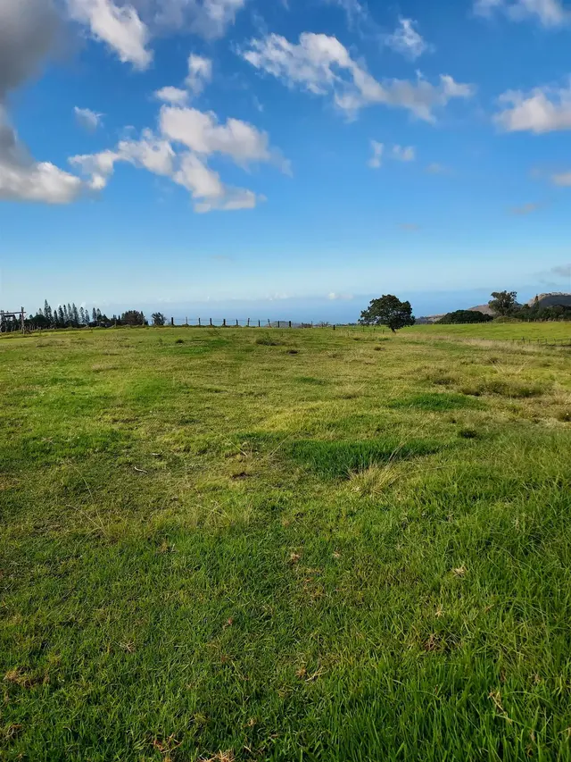 Listing Image for 1180 Olinda Rd 13 of 37