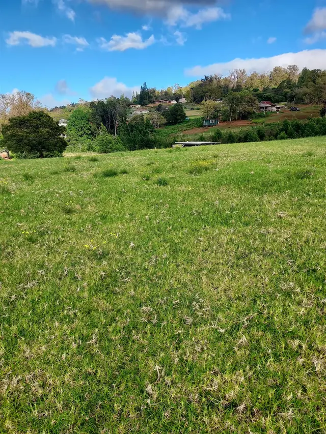 Listing Image for 1180 Olinda Rd 14 of 37