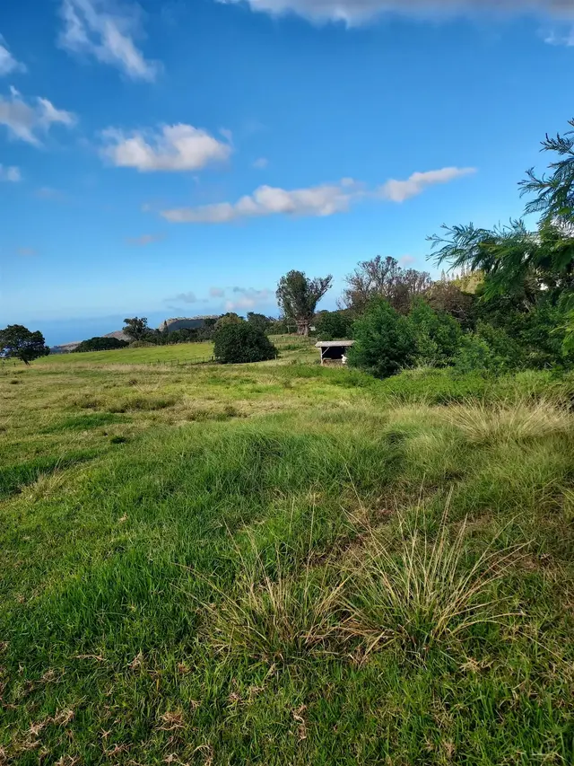 Listing Image for 1180 Olinda Rd 15 of 37