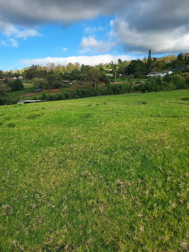 Listing Image for 1180 Olinda Rd 20 of 37
