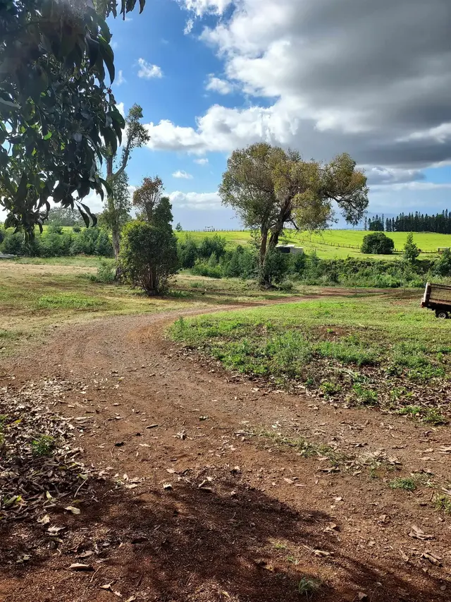 Listing Image for 1180 Olinda Rd 24 of 37