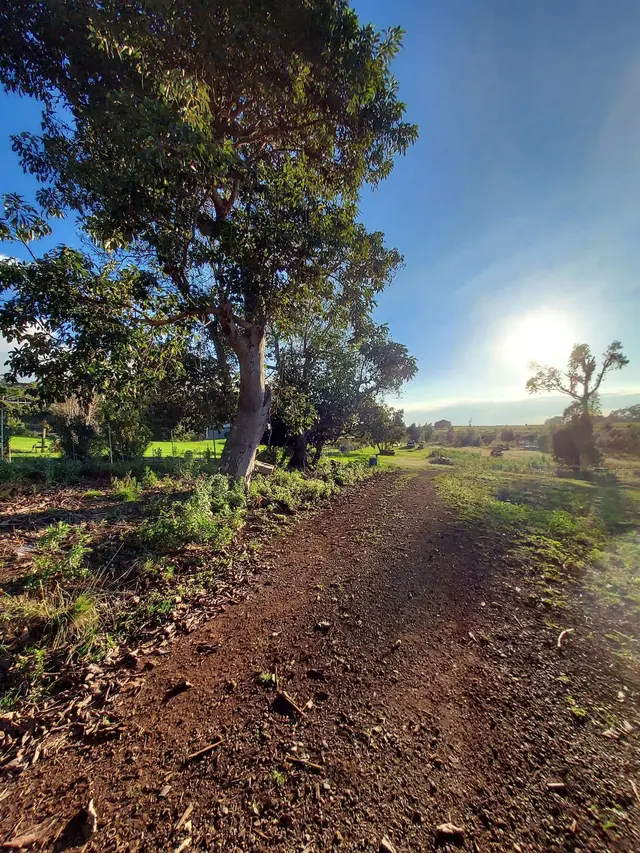 Listing Image for 1180 Olinda Rd 25 of 37