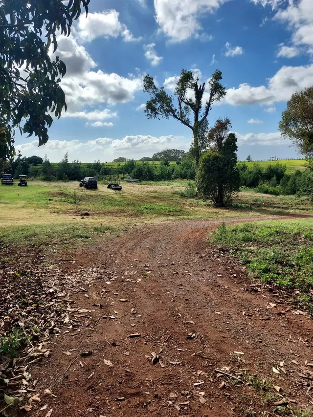 Listing Image for 1180 Olinda Rd 30 of 37