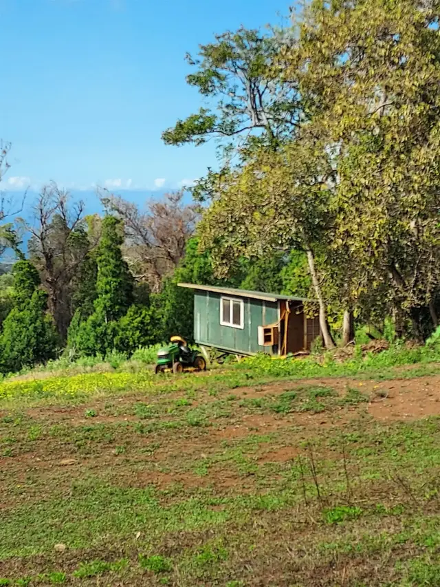 Listing Image for 1180 Olinda Rd 31 of 37
