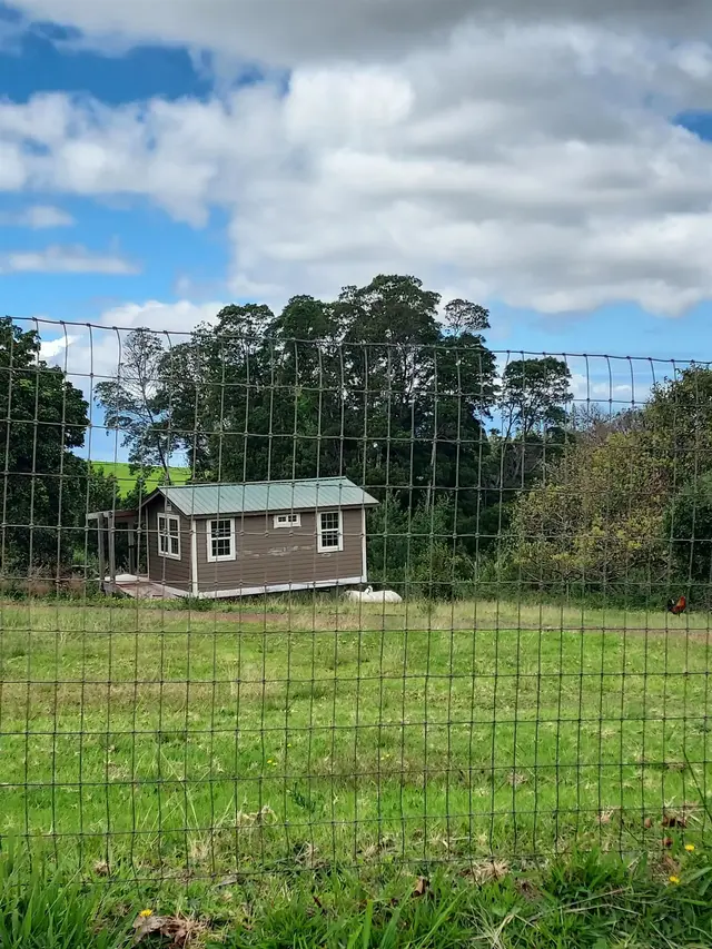 Listing Image for 1180 Olinda Rd 35 of 37