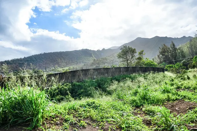 Listing Image for 141 S Laikeha Pl 7 of 11