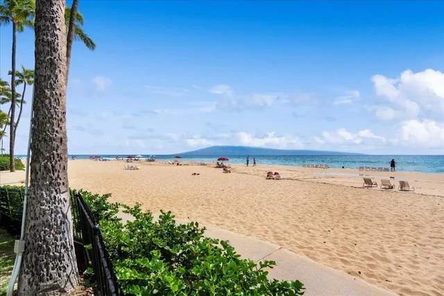 Listing Image for 50 Nohea Kai Dr Ii1002 42 of 47