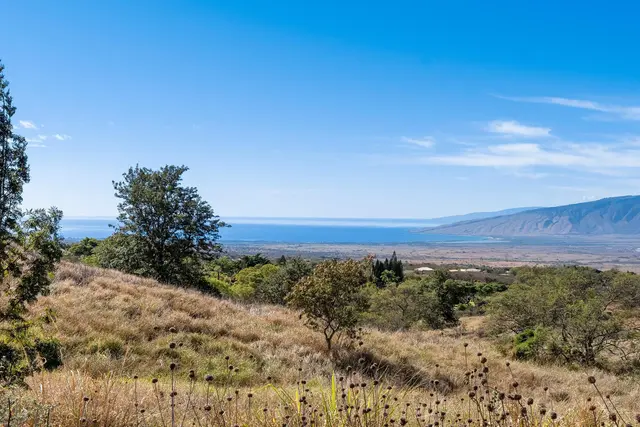 Listing Image for 619 Omaopio Rd Lot 1-b 2 of 13