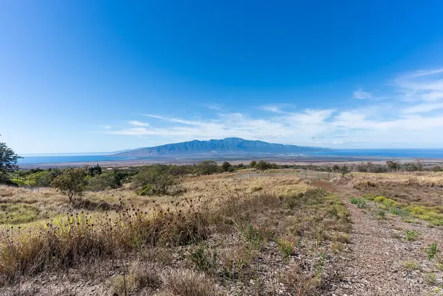Listing Image for 619 Omaopio Rd Lot 1-b 8 of 13