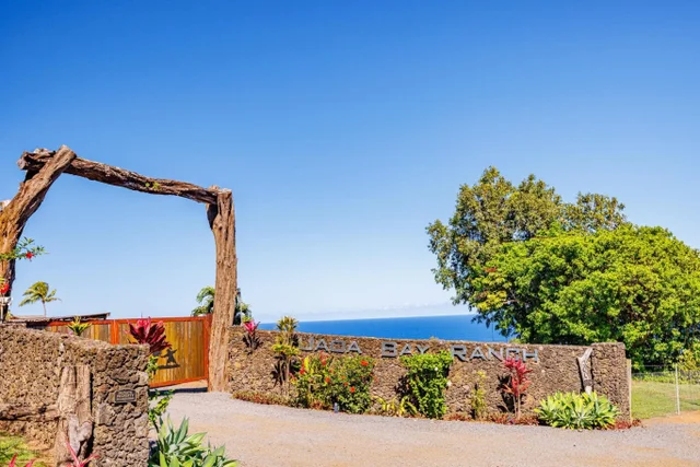 Listing Image for 300 Mehana Rd Unit B 19 of 49