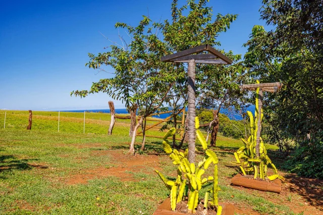 Listing Image for 300 Mehana Rd Unit B 38 of 49