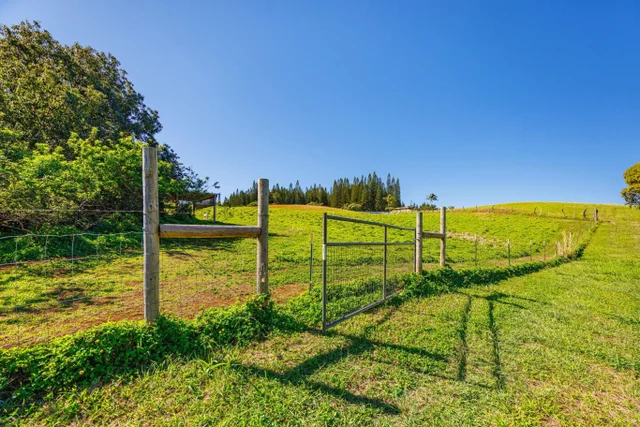 Listing Image for 300 Mehana Rd Unit B 41 of 49