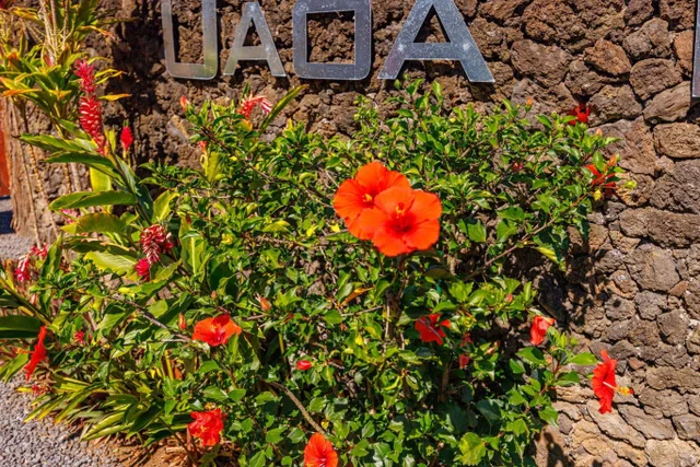 Listing Image for 300 Mehana Rd Unit B 48 of 49