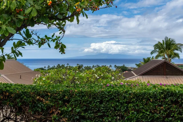Listing Image for 3100 Wailea Alanui Dr 5 2 of 48