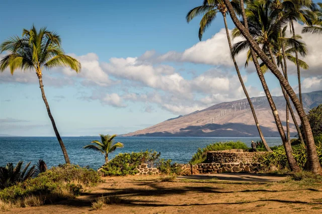 Listing Image for 2181 Iliili Rd 202 33 of 42