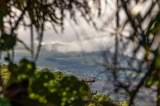 Listing Image for 2181 Iliili Rd 202 40 of 42