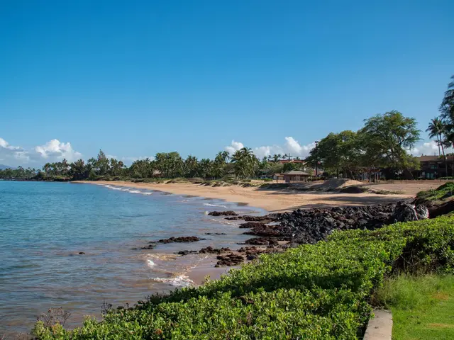Listing Image for 2387 S Kihei Rd B304 25 of 38