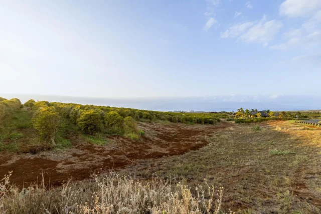 Listing Image for 517 Oka Kope St 19 of 35