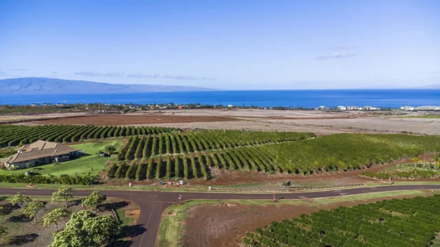 Listing Image for 517 Oka Kope St 22 of 35