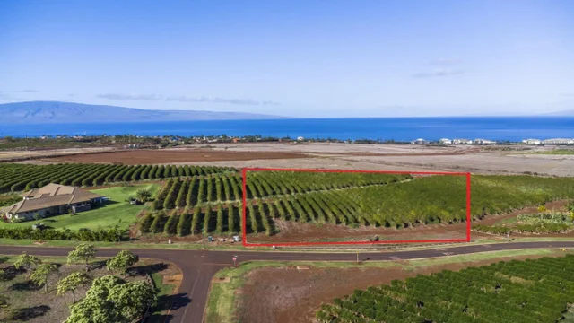 Listing Image for 517 Oka Kope St 23 of 35