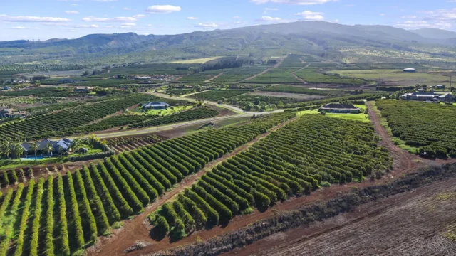 Listing Image for 517 Oka Kope St 26 of 35