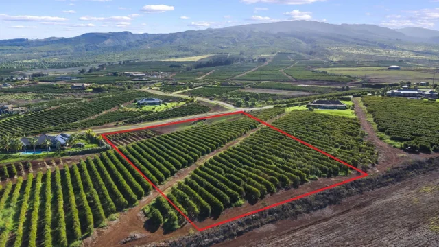 Listing Image for 517 Oka Kope St 27 of 35